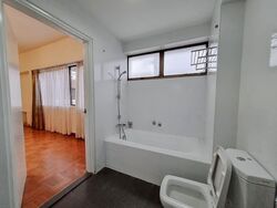 The Cairnhill (D9), Condominium #580753811